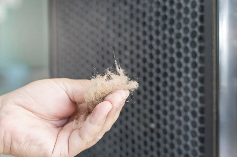 Do Air Purifiers Remove Dust 2 Close up hand a man and cat fur with dust in air purifier filter